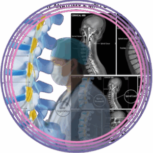 Curso de Entrenamiento en Imágenes de Columna